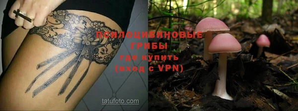 кокаин премиум Алексеевка