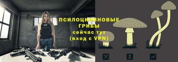 винт Алексин
