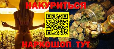 Альфа ПВП Ачхой-Мартан