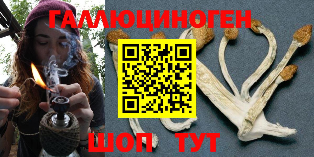 Псилоцибиновые грибы GOLDEN TEACHER Старая Русса