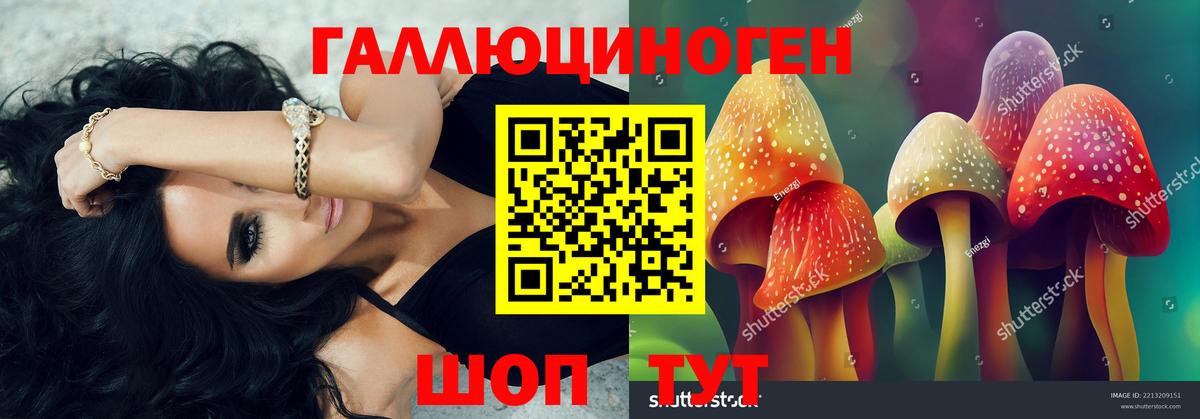 Псилоцибиновые грибы GOLDEN TEACHER  Вход с VPN  Старая Русса 