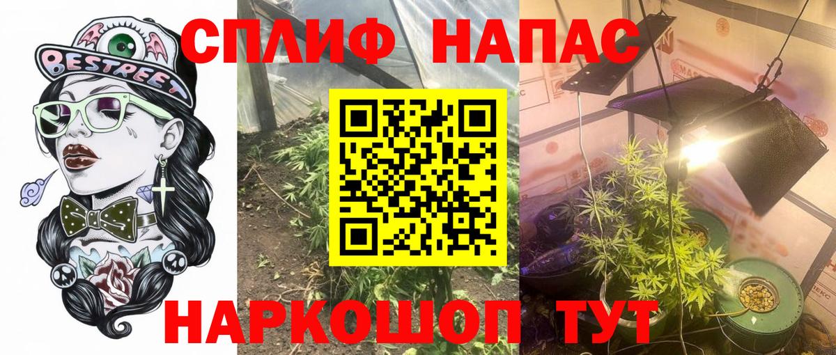 Конопля планчик  Каннабис VHQ  Марихуана семена  Вход с VPN  Старая Русса  МАРИХУАНА сатива 